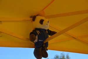 Süddeutscher Endlauf 2024 270er Superkartslalom